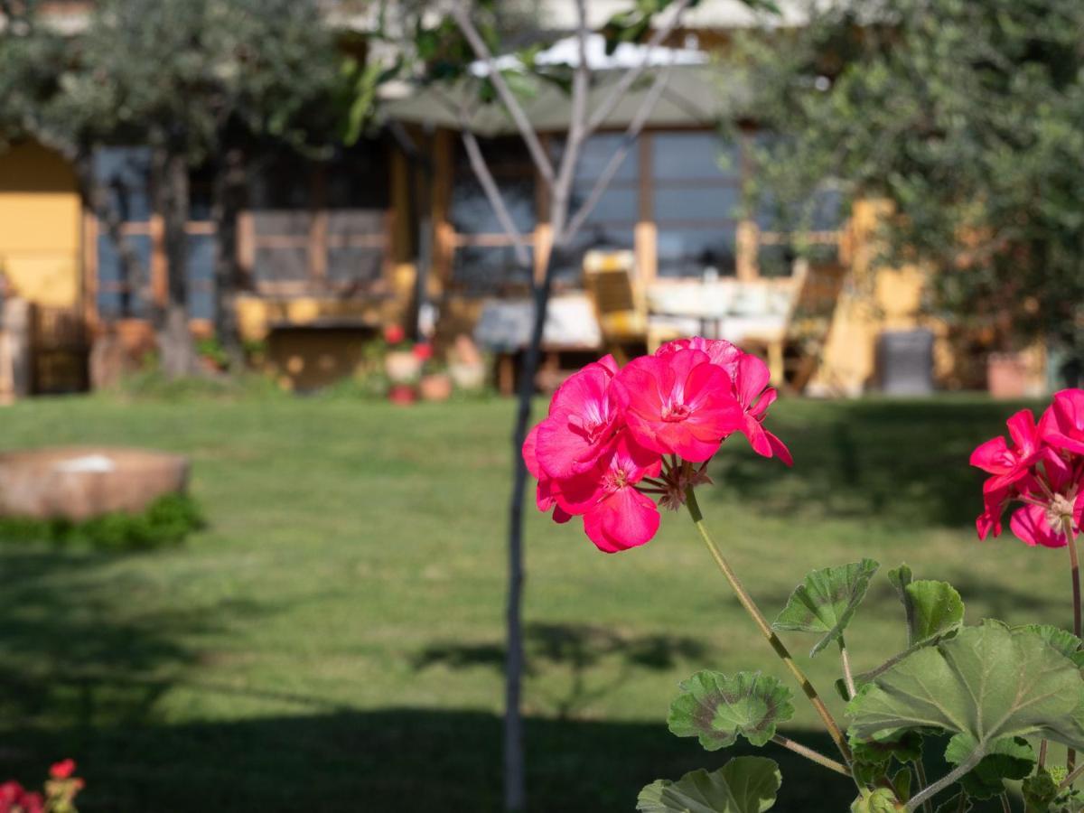 B&B Casa Decimo Greve in Chianti Luaran gambar
